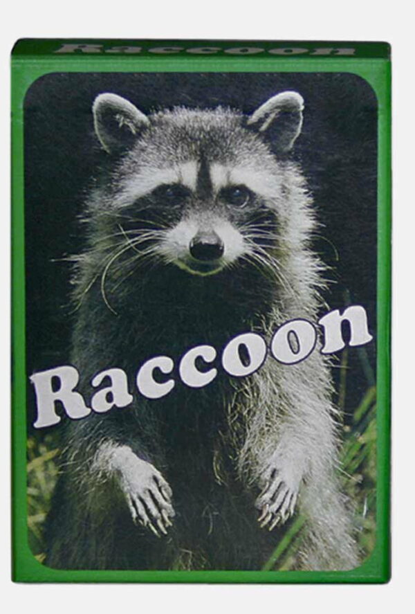 Raccoon, Christian Gronau, Picture Cards