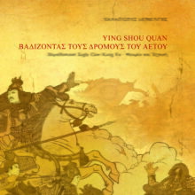 Βαδίζοντας τους δρόμους του αετού - YING SHOU QUAN