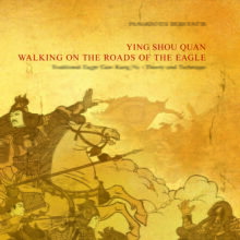 YING SHOU QUAN - Walking on the roads of the eagle