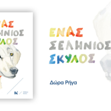 ENAS-SELHNIOS-SKYLOS-banner-carousel-1140x479
